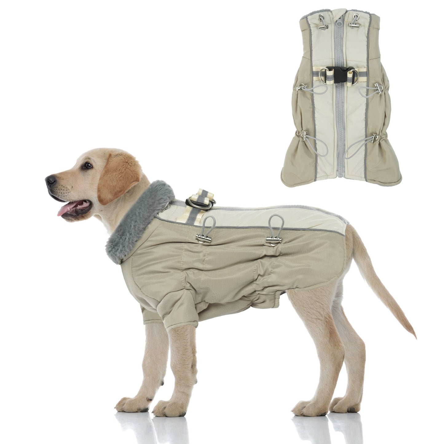 Windproof Reflective Turtleneck Dog Coat