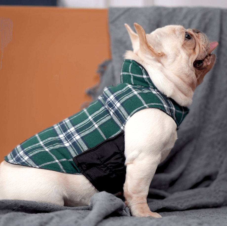 Plaid Reversible Dog Jacket for Winter