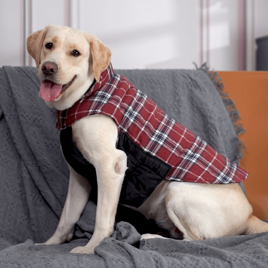 Plaid Reversible Dog Jacket for Winter