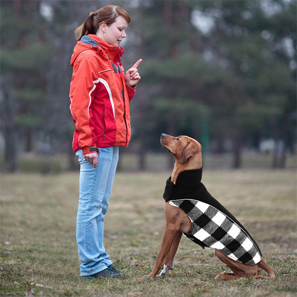 Scottish Plaid Reversible Dog Winter Jacket