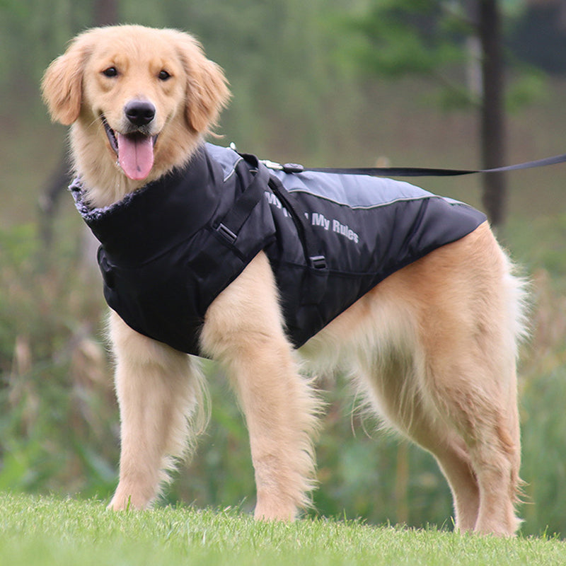 Outdoor Reflective Dog Jacket with Harness