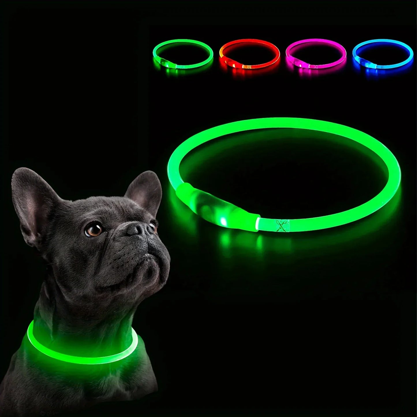 Rechargeable LED Dog Collar